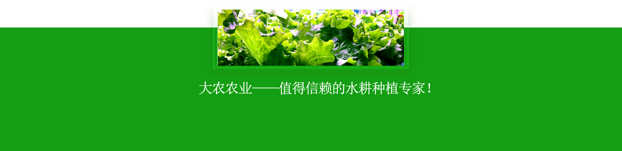 公司簡(jiǎn)介